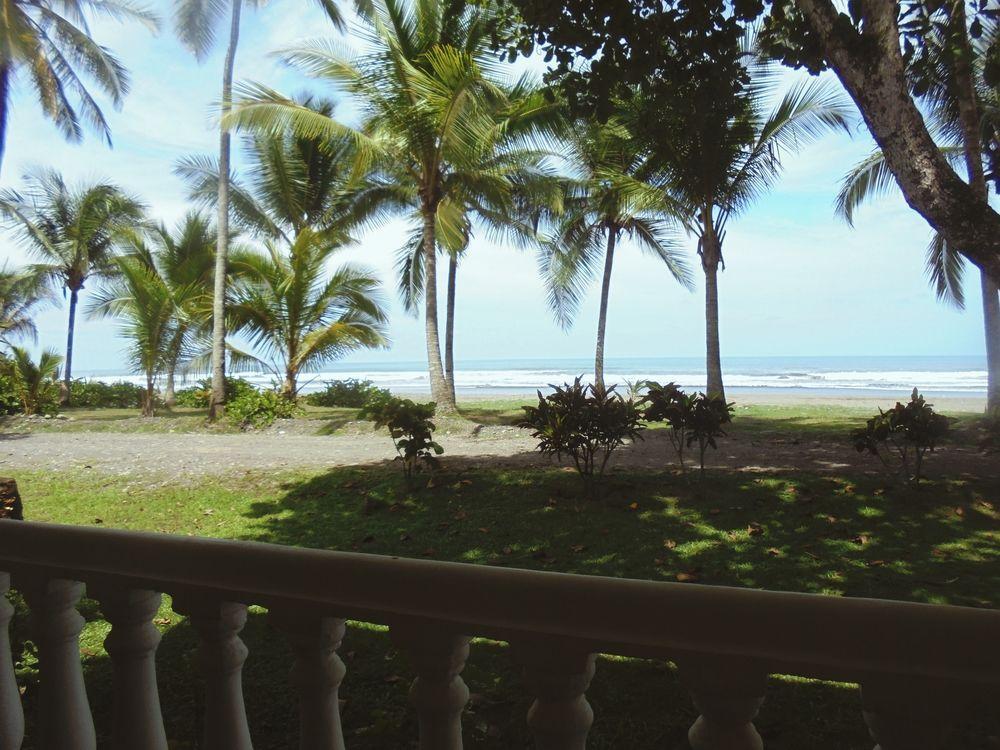 Delfin Beach Front Resort Esterillos Exteriör bild